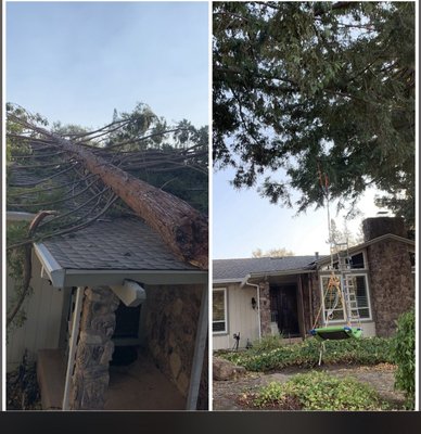 Emergency Pine Tree Removal – Fallen Tree on Roof - Emergency removal of a large pine tree that fell onto a residential roof after high winds. Our crew safely rigged and removed the tree in sections to prevent further damage to the home. All debris was chipped and hauled away, and the work area was fully cleaned before leaving. Cal-Line Tree Care specializes in emergency tree removal, hazardous tree situations, pruning, and full tree service throughout the East Bay.