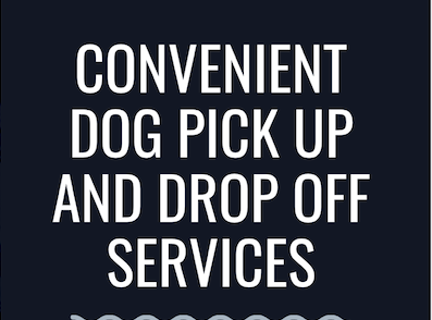Pup Pick up & Drop off Service - Drop off for daycare is any time after 7:30 am.

Dog MUST be picked up before 7:30 pm, after 7:30pm will incur extra charge unless authorized prior to stay.
Dogs of all sizes are $40 per day of daycare.
Pick-up and delivery are available at an extra charge depending on location.  Please inquire for rates.