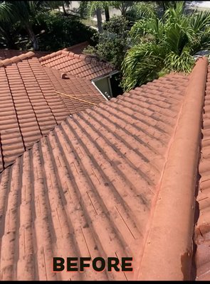 Latest Roof Wash - We use soft washing methods to clean roofs without damaging them in the long run. Latest Roof Wash - We use soft washing methods to clean roofs without damaging them in the long run.