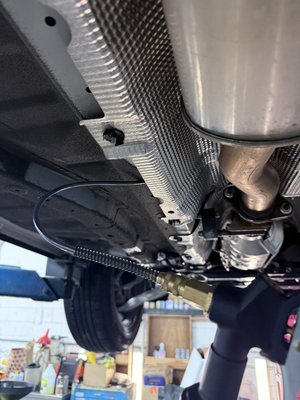 Internal / External Rust proofing - Rust Proofing
Starting at $500
Professional rust prevention and corrosion protection service designed to extend the life of exposed metal components and vulnerable areas throughout the vehicle.
Ideal for vehicles exposed to salt air, humidity, rain, off-road conditions, or long-term outdoor storage.
Process Includes
• Cleaning and degreasing of exposed metal surfaces
• Application of premium rust-inhibiting coatings
• Protective treatment for frames, subframes, doors, hinges, jambs, and structural areas
• Moisture and corrosion barrier protection
Recommended For
• Daily drivers in coastal or humid climates
• Off-road and all-terrain vehicles
• New or used vehicles seeking long-term protection
• Vehicles exposed to salt, mud, or harsh weather conditions
Protection Levels
• Level 1 — Doors
• Level 2 — Doors, Hood & Hatch/Gate
• Level 3 — Doors, Hood, Hatch/Gate & Pillars
• Level 4 — Full Upper Structure & Door Jambs
• Level 5 — Undercarriage Frame Protection
• Level 6 — Combination of Level 4 + Level 5
• Level 7 — Extended Frame & Structural Areas
• Level 8 — Full Undercarriage & Components
• Level 9 — Heavy-Duty Undercarriage Protection
Important Notes
• Final pricing varies based on vehicle size, condition, and treatment coverage
• Existing rust damage or corrosion repair is not included unless specified
• Annual maintenance inspections recommended for long-term protection effectiveness Internal / External Rust proofing - Rust Proofing
Starting at $500
Professional rust prevention and corrosion protection service designed to extend the life of exposed metal components and vulnerable areas throughout the vehicle.
Ideal for vehicles exposed to salt air, humidity, rain, off-road conditions, or long-term outdoor storage.
Process Includes
• Cleaning and degreasing of exposed metal surfaces
• Application of premium rust-inhibiting coatings
• Protective treatment for frames, subframes, doors, hinges, jambs, and structural areas
• Moisture and corrosion barrier protection
Recommended For
• Daily drivers in coastal or humid climates
• Off-road and all-terrain vehicles
• New or used vehicles seeking long-term protection
• Vehicles exposed to salt, mud, or harsh weather conditions
Protection Levels
• Level 1 — Doors
• Level 2 — Doors, Hood & Hatch/Gate
• Level 3 — Doors, Hood, Hatch/Gate & Pillars
• Level 4 — Full Upper Structure & Door Jambs
• Level 5 — Undercarriage Frame Protection
• Level 6 — Combination of Level 4 + Level 5
• Level 7 — Extended Frame & Structural Areas
• Level 8 — Full Undercarriage & Components
• Level 9 — Heavy-Duty Undercarriage Protection
Important Notes
• Final pricing varies based on vehicle size, condition, and treatment coverage
• Existing rust damage or corrosion repair is not included unless specified
• Annual maintenance inspections recommended for long-term protection effectiveness