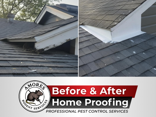 Before & After Home Proofing - Before & After Home Proofing
