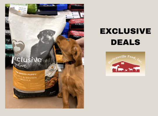Excusive Offer 02/27/23 - 02/28/26 - The right pet food can be hard to find, but finding one that's affordable can be even harder! That's why we've partnered with Astro Loyalty to bring you the best sales, deals, & frequent purchase programs out there!
Exclusive Pet Food (Buy 8, Get 1 Free)
Infinia Pet Food (Buy 8, Get 1 Free)
Red Flannel Pet Food (Buy 8, Get 1 Free)
Fromm Family Pet Foods (Buy 12, Get 1 Free)
Blue Buffalo (Buy 12, Get 1 Free)
Taste of the Wild (Buy 10, Get 1 Free)
Taste of the Wild Prey (Buy 8, Get 1 Free)
The Honest Kitchen (Buy 7, Get 1 Free)
Stop by or give us a call at 215-256-2457 to see if we carry the brand your dog loves! Excusive Offer 02/27/23 - 02/28/26 - The right pet food can be hard to find, but finding one that's affordable can be even harder! That's why we've partnered with Astro Loyalty to bring you the best sales, deals, & frequent purchase programs out there!
Exclusive Pet Food (Buy 8, Get 1 Free)
Infinia Pet Food (Buy 8, Get 1 Free)
Red Flannel Pet Food (Buy 8, Get 1 Free)
Fromm Family Pet Foods (Buy 12, Get 1 Free)
Blue Buffalo (Buy 12, Get 1 Free)
Taste of the Wild (Buy 10, Get 1 Free)
Taste of the Wild Prey (Buy 8, Get 1 Free)
The Honest Kitchen (Buy 7, Get 1 Free)
Stop by or give us a call at 215-256-2457 to see if we carry the brand your dog loves!