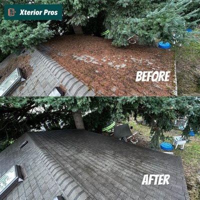 Roof Moss Removal - Using nylon brush to gently remove all moss off roofs and finishing off with our roof treatment spray to keep moss away for at least 2 years or more. Roof Moss Removal - Using nylon brush to gently remove all moss off roofs and finishing off with our roof treatment spray to keep moss away for at least 2 years or more.