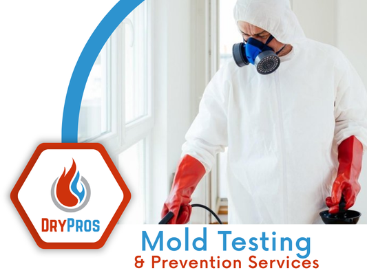 Mold Testing, Removal & Prevention - If you notice a musty smell or dark spots in your home, these are often signs of a mold problem, which can damage your property and impact your health. Mold thrives in damp, hidden areas like basements, crawl spaces, and bathrooms.

At Dry Pros Emergency Services, we provide professional mold testing and remediation across Southern California. Our certified technicians identify the source of the problem and deliver thorough, lasting solutions to keep your home or business safe and mold-free.

Call us today for a consultation and breathe easier knowing your property is protected.