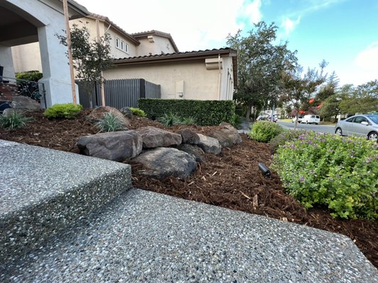 Front yard installation - Turned this bare patch of dirt into a beautiful landscape with exposed aggregate concrete stairs, boulder retaining wall and some native plants, drip irrigation, mulch, and lighting.
