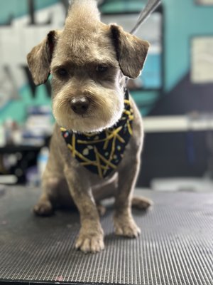 My returning clients 2018-2023 - Before and after pictures My returning clients 2018-2023 - Before and after pictures