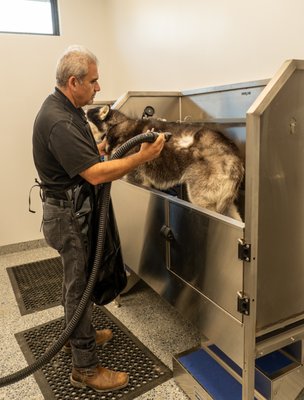 Dog Grooming - Silver Saddle Stables Pet Resort offers professional dog grooming in the heart of the Glendale/Burbank Rancho. Our caring team provides attentive, relationship-centered service in a comfortable and welcoming environment where every dog is treated like family.
From routine bathing and brushing to complete grooming appointments, services are tailored to your dog’s coat, comfort, and individual needs. Our goal is to help your dog look and feel their best while making the grooming experience as positive as possible.
Discounts are available for Silver Saddle members. Ask us about our additional dog daycare, boarding, training, and agility services. Dog Grooming - Silver Saddle Stables Pet Resort offers professional dog grooming in the heart of the Glendale/Burbank Rancho. Our caring team provides attentive, relationship-centered service in a comfortable and welcoming environment where every dog is treated like family.
From routine bathing and brushing to complete grooming appointments, services are tailored to your dog’s coat, comfort, and individual needs. Our goal is to help your dog look and feel their best while making the grooming experience as positive as possible.
Discounts are available for Silver Saddle members. Ask us about our additional dog daycare, boarding, training, and agility services.