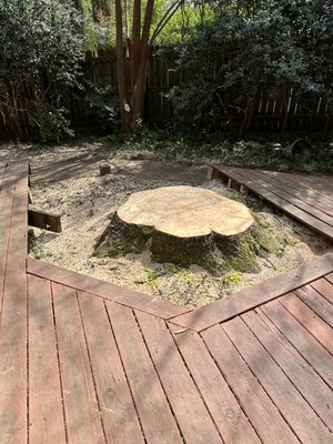 Large maple - The insurance company is starting to require that large trees be removed from around your house