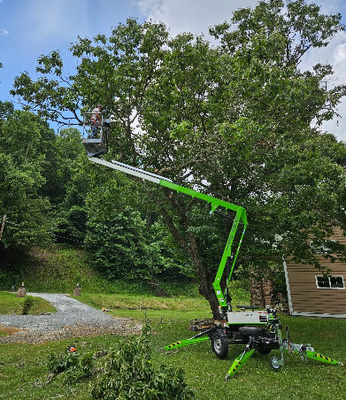Tree Trimming and Pruning - Proper pruning involves selective removal of damaged, crossing, or poorly attached limbs rather than indiscriminate cutting. Cuts are made at the branch collar, the swollen area where the limb meets the trunk, which allows the tree to seal the wound naturally and resist infection. Tree Trimming and Pruning - Proper pruning involves selective removal of damaged, crossing, or poorly attached limbs rather than indiscriminate cutting. Cuts are made at the branch collar, the swollen area where the limb meets the trunk, which allows the tree to seal the wound naturally and resist infection.