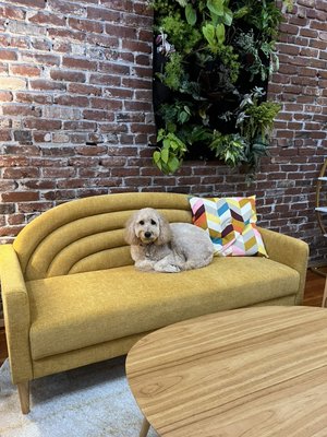 Tasting Room - We painted and scrubbed and climbed up and down ladders and we are so proud of this cozy fun space! Tasting Room - We painted and scrubbed and climbed up and down ladders and we are so proud of this cozy fun space!