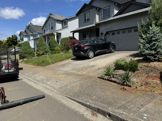 Clean up - This a small residential cleanup we mow pulling weeds make a good edge fertilizer and prune blow Clean up - This a small residential cleanup we mow pulling weeds make a good edge fertilizer and prune blow