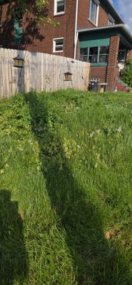 Tall grass remodel - We did a tall grass transformation. We took time cutting the grass, weed-whacking the edges, and blowing off the sidewalks. Tall grass remodel - We did a tall grass transformation. We took time cutting the grass, weed-whacking the edges, and blowing off the sidewalks.