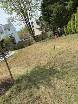 Sod installation - Sod installation can be very expensive and its time consuming but with Fajardos we make sure to get it done as fast as possible for the best price to have tour new lawn looking great Sod installation - Sod installation can be very expensive and its time consuming but with Fajardos we make sure to get it done as fast as possible for the best price to have tour new lawn looking great