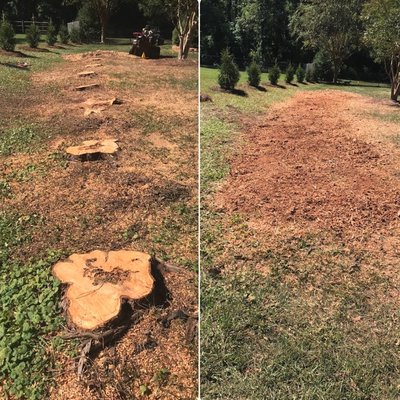 Multiple Stump Grinding - Do you have multiple stumps that need to be grinded down ? Call for details!!!