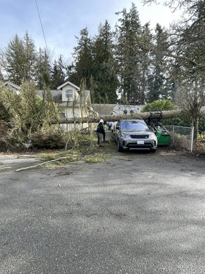 Emergency removal - This emergency call came in on an afternoon and we were there with the hour. We are a 24 hour emergency service for any tree scenario. We can work with insurance or the homeowner can work with the insurance company directly.