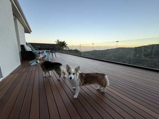 Hillside deck @ Sherman oaks - 1,000 sqft 1x4 ipe deck with easy clips
glass railings
aluminum privecy fence
@sherman oaks Hillside deck @ Sherman oaks - 1,000 sqft 1x4 ipe deck with easy clips
glass railings
aluminum privecy fence
@sherman oaks