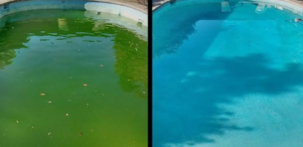 Green to Clean! - We had a worried home owner call us with a pool that had turned green suddenly. They were in need of urgent help. We were able to respond same day and had the pool back to a blue color by the following day. With additional care the water was clear and sparkly blue within the week. Green to Clean! - We had a worried home owner call us with a pool that had turned green suddenly. They were in need of urgent help. We were able to respond same day and had the pool back to a blue color by the following day. With additional care the water was clear and sparkly blue within the week.