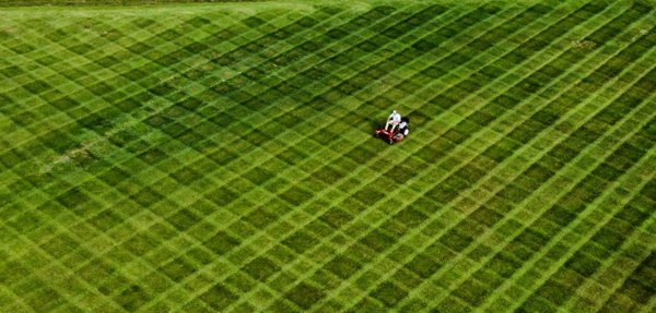 Commercial Lawn Services - Make a Lasting Impression With a Well-Maintained Landscape!
Our professional commercial lawn service keeps your property looking its best—mowing, trimming, landscaping, and more. Reliable scheduling, prompt response, and tailored maintenance plans for every business.