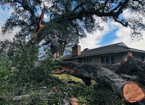 Oak tree removal - Oak tree removal due high winds in Altadena. High winds broke a big branch and smashed a car. We came next day removed in on day and cleaned up the next day. Oak tree removal - Oak tree removal due high winds in Altadena. High winds broke a big branch and smashed a car. We came next day removed in on day and cleaned up the next day.
