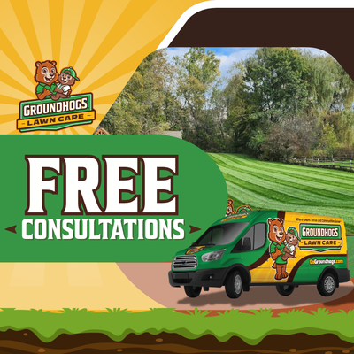 FREE CONSULTATIONS! - Build your lawn, book your free consultation! FREE CONSULTATIONS! - Build your lawn, book your free consultation!