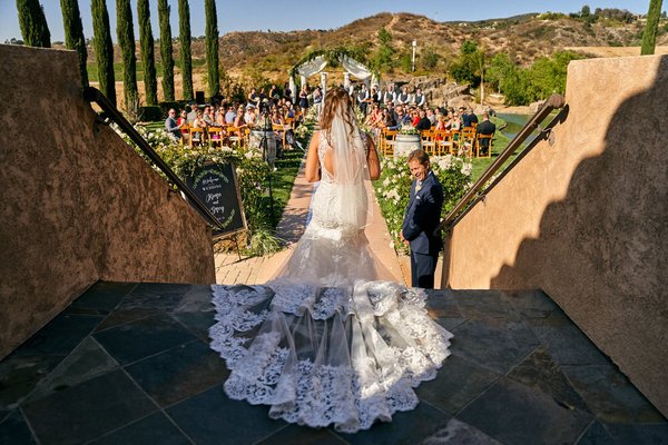 Wedding - Capture Your Special Day