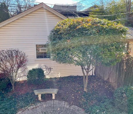 Tree Pruning & Tree Trimming Services - County Tree Service provides tree pruning & tree trimming services. Pruning your trees on a regular basis keeps them healthy and beautiful. There are many different tree trimming methods for different species of trees, and for how you want your trees to grow.
Do you need more light to fall on your lawn so that your grass can grow? If so, your trees may need to be elevated and thinned.
Are large tree limbs growing over your house? We can prune the trees back or remove them so that they do not interfere with your house or structure.
Do your trees need general clean-up? We can prune out dead, hazardous and crossing tree limbs to keep your trees growing strong and healthy.
Our estimators will be happy to walk your property and discuss short and long term tree pruning and tree trimming programs. Tree Pruning & Tree Trimming Services - County Tree Service provides tree pruning & tree trimming services. Pruning your trees on a regular basis keeps them healthy and beautiful. There are many different tree trimming methods for different species of trees, and for how you want your trees to grow.
Do you need more light to fall on your lawn so that your grass can grow? If so, your trees may need to be elevated and thinned.
Are large tree limbs growing over your house? We can prune the trees back or remove them so that they do not interfere with your house or structure.
Do your trees need general clean-up? We can prune out dead, hazardous and crossing tree limbs to keep your trees growing strong and healthy.
Our estimators will be happy to walk your property and discuss short and long term tree pruning and tree trimming programs.