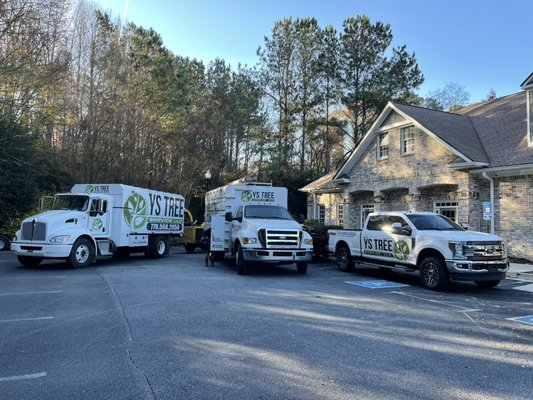 Tree removals - At Ys Tree Service we provide the best tree experience possible and give all our customers the best rates possible.we have all the equipment and can provide you with the best tree care in the business. We do one job at a time with no money upfront until the job is complete. Tree removals - At Ys Tree Service we provide the best tree experience possible and give all our customers the best rates possible.we have all the equipment and can provide you with the best tree care in the business. We do one job at a time with no money upfront until the job is complete.
