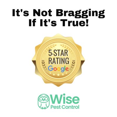Wise Pest Control - Say goodbye to pests with a smile. We're not just about pest control. We're about building relationships and delivering quality service. Protecting your home is our priority. 🏡🐜
Call Wise Pest Control today at (626) 710-7237.
#WisePestControl #QualityService #CommunityFirst #PestFreeLiving Wise Pest Control - Say goodbye to pests with a smile. We're not just about pest control. We're about building relationships and delivering quality service. Protecting your home is our priority. 🏡🐜
Call Wise Pest Control today at (626) 710-7237.
#WisePestControl #QualityService #CommunityFirst #PestFreeLiving
