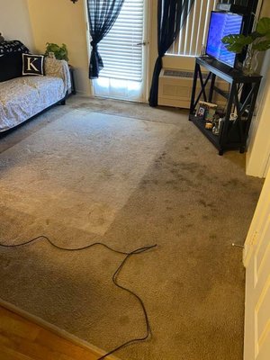 Deep Cleaning heavily pet stained Carpet - When pets develop behaviors like urinating on the carpet, we know it can play havoc on your home. This customer was amazed at how clean and fresh her carpets were after we were done. Deep Cleaning heavily pet stained Carpet - When pets develop behaviors like urinating on the carpet, we know it can play havoc on your home. This customer was amazed at how clean and fresh her carpets were after we were done.
