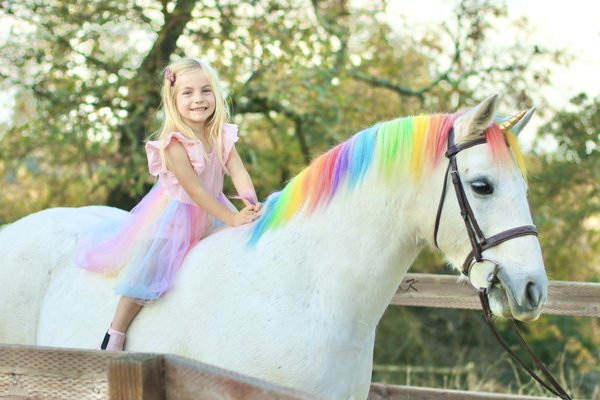 Equine and Pet Portraiture - Private Equine and Pet portrait photography sessions for your beloved fur babies!