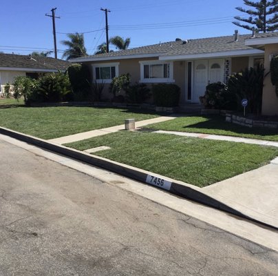 Sod, irrigation and maintencance - Don't be that neighbor with a dry patchy lawn. Get your grass green again with M Flores landscape! These are a few projects we have done in the past few years where we either installed, or retrofitted an irrigation system and installed a new fresh lawn.
Prep work, and the right lawncare are key to keeping your yard the greenest on the block! Sod, irrigation and maintencance - Don't be that neighbor with a dry patchy lawn. Get your grass green again with M Flores landscape! These are a few projects we have done in the past few years where we either installed, or retrofitted an irrigation system and installed a new fresh lawn.
Prep work, and the right lawncare are key to keeping your yard the greenest on the block!
