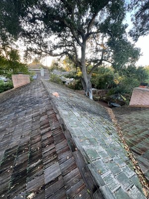 Full Roof Replacement in San Jose - This home had an aging roof at the end of its life, with worn shingles and a few active leaks starting to show. The homeowner wanted it handled before the winter rains. We did a full tear-off down to the deck, replaced damaged sheathing, installed new underlayment, and finished with quality architectural shingles built for Bay Area fog and sun. The crew protected the landscaping, cleaned up the site each day, and finished on schedule.