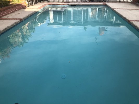 VARIEL WHITE PLASTER - Omega removed the old plaster and tile and installed white plaster, tile and a new light in this pool. It was a big difference!.