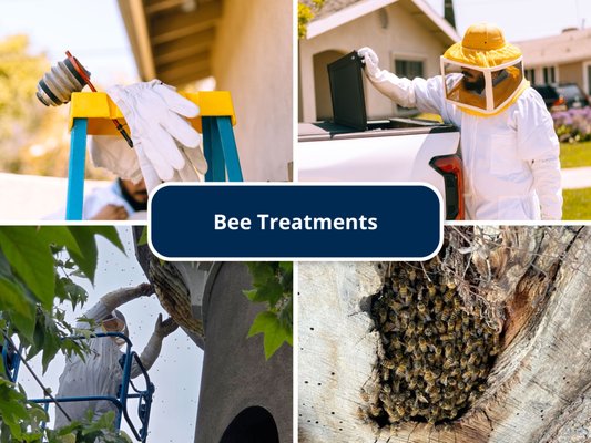 Bee treatments - With a range of treatment options from recurring quarterly or bi-monthly appointments to one-time treatments, we’ll be sure to have the solution you need to make your pest problems a thing of the past. Bee treatments - With a range of treatment options from recurring quarterly or bi-monthly appointments to one-time treatments, we’ll be sure to have the solution you need to make your pest problems a thing of the past.