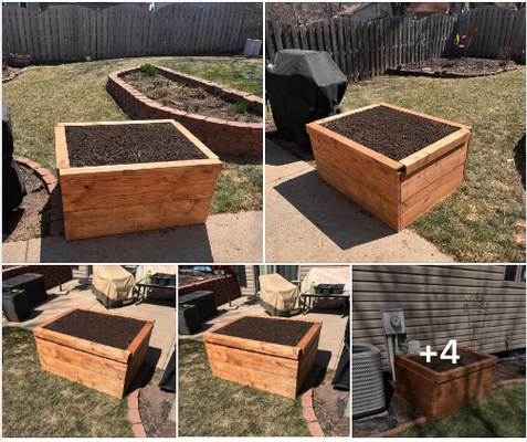 Garden Planter Boxes - De Brun is out here doing what we do best, helping people realise their happiness!
We were happy to answer the call when asked to build garden planter boxes for our fantastic customer Crystal Sauser!
Go forth and grow!! Garden Planter Boxes - De Brun is out here doing what we do best, helping people realise their happiness!
We were happy to answer the call when asked to build garden planter boxes for our fantastic customer Crystal Sauser!
Go forth and grow!!