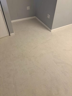 Carpeting - Carpeting afters and in progress