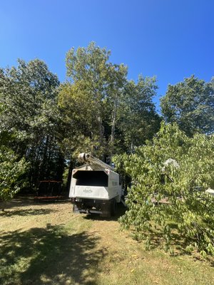 Taking out two unwanted trees and trimming stuff back from house. - Customer wanted to take out a few unwanted trees and to trim things back from the house, I came in cut the trees down an ground the stumps out. Customer is happy and ready for the next client.