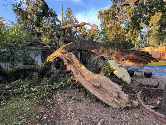 Emergency jobs - These jobs were emergency jobs. We dispatched a crane and a large crew to remove trees from houses safely and efficiently. Emergency jobs - These jobs were emergency jobs. We dispatched a crane and a large crew to remove trees from houses safely and efficiently.