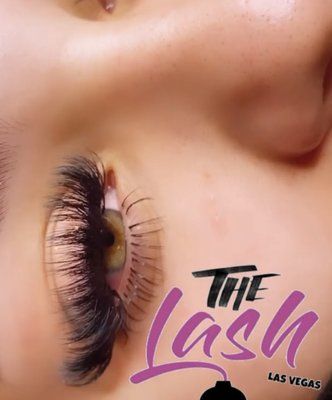 VOLUME LASHES - VOLUME LASHES