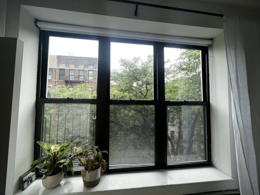 6 Units Building Repairs & Glass Replacements - Sam’s Window Repair team is happy to share the latest project in East Village, Manhattan.
A 6 Unit Building where all windows where repaired and the glasses were replaced.
Done in a day successfully by out team. 6 Units Building Repairs & Glass Replacements - Sam’s Window Repair team is happy to share the latest project in East Village, Manhattan.
A 6 Unit Building where all windows where repaired and the glasses were replaced.
Done in a day successfully by out team.