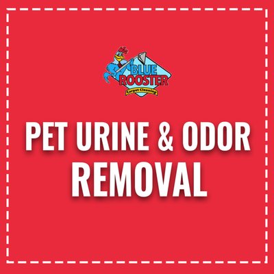 For Visiting - Blue Rooster is a family owned and operated business that believes in going that extra mile to assure our customer's complete satisfaction. We take pride in every job we do, by paying close attention to those details that make the difference between a good job and a great one.