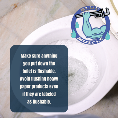 A friendly tip from the trustworthy team at Blue Muscle Plumbing and Rooter Service. - A friendly tip from the trustworthy team at Blue Muscle Plumbing and Rooter Service. Remember to keep your toilet and sewer flowing without a problem. But if it is too late and you need the help of professionals, you can always call us! A friendly tip from the trustworthy team at Blue Muscle Plumbing and Rooter Service. - A friendly tip from the trustworthy team at Blue Muscle Plumbing and Rooter Service. Remember to keep your toilet and sewer flowing without a problem. But if it is too late and you need the help of professionals, you can always call us!