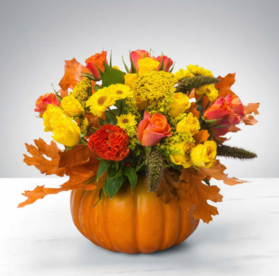 Seasonal Designs - Perfect Arrangement for Warm Holiday Greetings Seasonal Designs - Perfect Arrangement for Warm Holiday Greetings