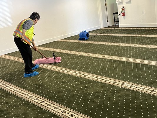 We do it all! - Whether you need need your car detailed, your rugs or upholstery, and even your home carpets done, we do it all! Call for more details. We do it all! - Whether you need need your car detailed, your rugs or upholstery, and even your home carpets done, we do it all! Call for more details.