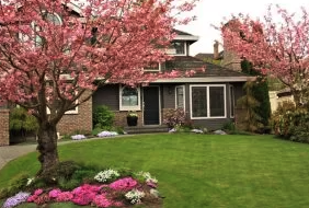 Residential Tree Care Services in Illinois - Why you need residential tree care services from the professional arborists at Hendricksen Tree Care:
Our experienced, trained professionals are ISA certified to provide safe and effective residential tree services.
We can accurately diagnose tree diseases and insect infestations and come up with effective solutions to resolve the issue.
Our once-a-year maintenance helps your trees stay healthy and beautiful for the future.
Most tree care treatments are quick and take less than one hour per tree.
We help watch the bottom line with you with our tree care services. We know you are on a budget and we respect that. Residential Tree Care Services in Illinois - Why you need residential tree care services from the professional arborists at Hendricksen Tree Care:
Our experienced, trained professionals are ISA certified to provide safe and effective residential tree services.
We can accurately diagnose tree diseases and insect infestations and come up with effective solutions to resolve the issue.
Our once-a-year maintenance helps your trees stay healthy and beautiful for the future.
Most tree care treatments are quick and take less than one hour per tree.
We help watch the bottom line with you with our tree care services. We know you are on a budget and we respect that.