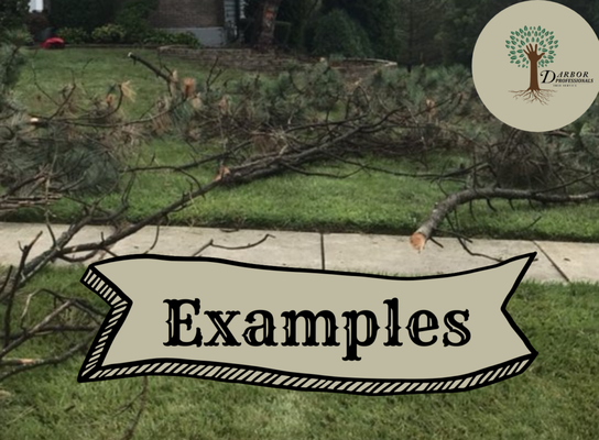 Tree Service (Residential & Commercial) - We will give you a free estimate and a fair price. Call us today. Tree Service (Residential & Commercial) - We will give you a free estimate and a fair price. Call us today.