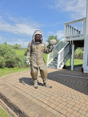 Bee/Wasp Removal - This was a client that had 5 different wasp/hornet nests. $250 to exterminate and remove the nest in the same visit.