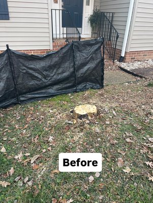 Small stump project - Small stump removal near sidewalk.