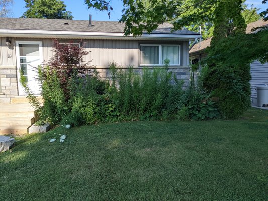 A little bit of love goes a long way! - This gentleman purchased a home where the yard required some TLC. We were eager to work with him to meet his needs! A little bit of love goes a long way! - This gentleman purchased a home where the yard required some TLC. We were eager to work with him to meet his needs!