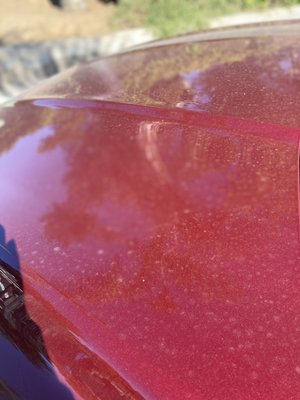 2017 Ford Fusion In and Out Wash - I always enjoy detailing this vehicle. 2017 Ford Fusion In and Out Wash - I always enjoy detailing this vehicle.